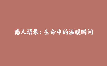 感人语录：生命中的温暖瞬间